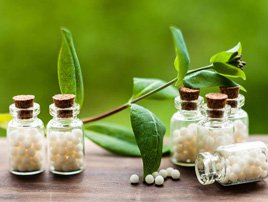 Classical Homeopathy Certificate Course